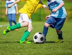 激情对决,深度解析狼,纽卡斯尔联,千亿体育,千亿体育官网,千亿体育官方,千亿体育下载